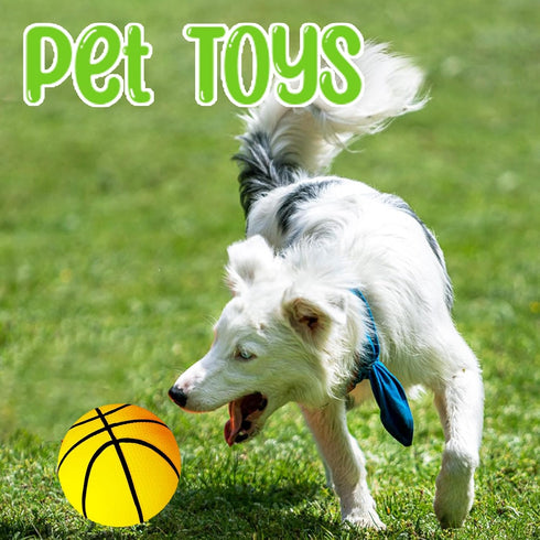 Dshengoo 6 Pcs Mini Toy Basketballs - Colorful Rubber Inflatable Basketballs with Pump for Kids