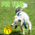 Dshengoo 6 Pcs Mini Toy Basketballs - Colorful Rubber Inflatable Basketballs with Pump for Kids