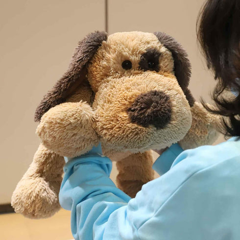 Floppy Stuffed Dog Puppy Plush Toy, 20 inch Huggable Beagle Labrador Retriever Stuffed Animal for Kids