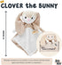 Riff Raff Baby Sleep Toy Soother - Musical Plush Bunny with White Noise & Lullaby - Lovey Security Blanket for Newborns