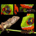 Set; Set Hobbies(2688 BDYDT Wall Art Chameleon Building Blocks A Wall Decor for Adults Who Love Creative Pieces) Toys
