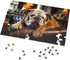Bulldog On The Couch Jigsaw Puzzles for Adults 500 Piece -Cute Bulldog Animal Puzzle- Wooden Puzzles Wall Art Decor DIY Leisure Game Preschool Toys Best Gift for Adults Teens
