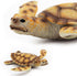 Gemini&Genius Sea Turtle Toy for Kids, Realistic Marine Animal Figure, Ocean Toy