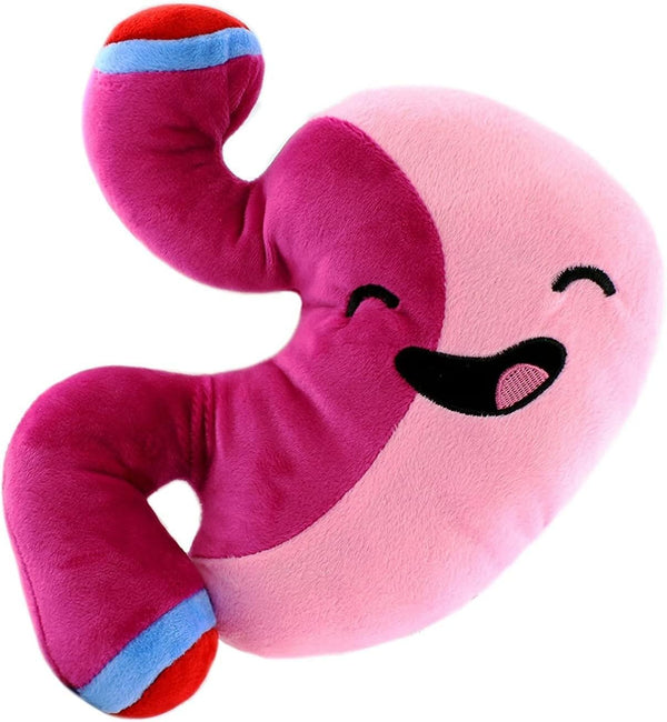 Barry The Sleeve Plush Stomach - 10-Inch After Surgery Pal for Bariatric Gastric Bypass Education
