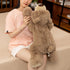 Weighted Stuffed Animals, 3.3 lbs Weighted Bear Plush Toy, 19.6 inch Throw Pillow