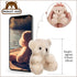 Threan 8 Pcs Mini Plush Bears, 4'' Small Stuffed Animal Toys for Keychain Baby Shower Party Favors (Brown, Apricot)