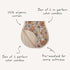 mushie Muslin Baby Burp Cloths, 100% Organic Cotton, Set of 2 (Olive Check/Natural Check)
