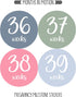 Pregnancy Weekly Belly Growth Stickers - 36 pcs Purple Pink, Matte Finish for Maternity Photo Sessions