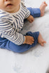 52L 28W 8H Pehr Crib Sheet, Follow Me Elephant | Breathable Brushed Organic Cotton for Soft Sleep | Fits Standard Crib