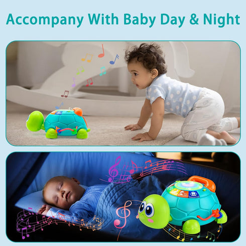 6 12 7 8 9 10 11 1-2 Ussybaby Baby Crawling Toys to Months, Infant Turtle Musical Toys with Phone Hand DrumBaby Months
