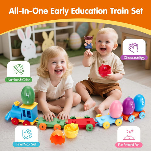 2-4, Set 8 Counting Eggs,2-3 hahaland Dinosaur Toys for Toddlers Montessori Learning Toy Matching Train with Dinosaurs