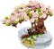 Mini Building Blocks Sakura Plant Bonsai Model Set, Creative DIY Cherry Blossom Flower Botanical Collection