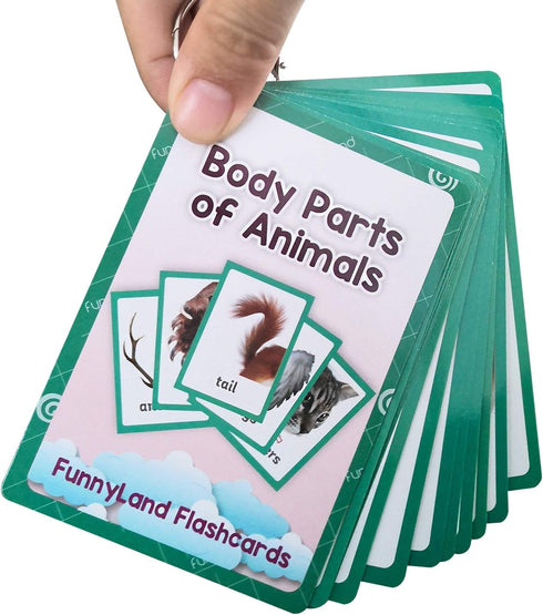 12PCS/Set Animals Body Parts Kids Gifts - English Flash Cards Pocket Card Educational Learning Toys