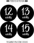 Pregnancy Weekly Belly Growth Stickers, Large Set of 36, Week to Week Photo Prop for Expecting Maternity Keepsake