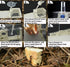 Ant Farming Castle, Educational Habitat Science Learning Kit for Live Ants, Toy Kit for Kids