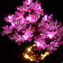 LED Lighting Kit for Lego 10281 Bonsai Tree Building Set - Lights Only, Compatible with Lego
