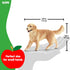 3 3+ 16395 schleich Farm World - Female Golden Retriever Figurine - Realistic Barnyard Dog Figure for Screen-Free Play