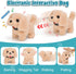 G.C 22Pcs Dog Toys Doctor Kit, Interactive Stuffed Dog Vet Kit for Pretend Play, Gifts for Kids Girls Ages 3-6+