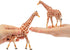 Toymany 4PCS Realistic Giraffe Figurines Playset - Includes Giraffe Cub, Educational Toy for Kids