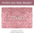 27x40 Inch berry bebe Luxury Receiving Blanket, Personalized Baby Blankets, Personalized Baby Gifts, Boutique Style
