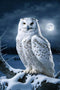 Hothostl Framable 1000 Piece Classic Jigsaw Puzzle - White Owl Luxurious Wood Rounded