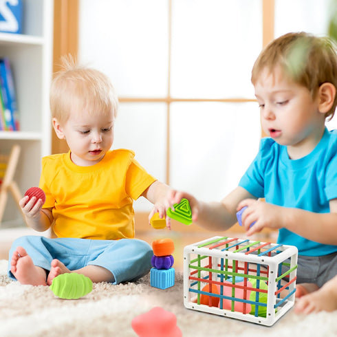 AiTuiTui Montessori Baby Toys for 1 Year Old, Shape Sorter with 3 Soft Textured Balls for Early Learning