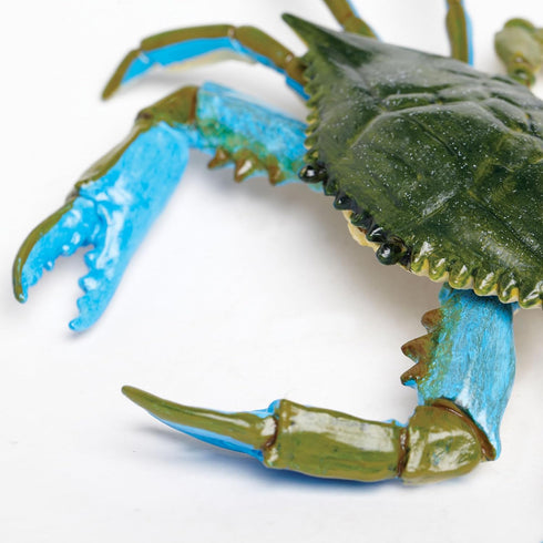 7" 18M+ Safari Ltd. Blue Crab Figurine - Realistic Model Figure - Educational Toy for Boys, Girls, and Kids Ages