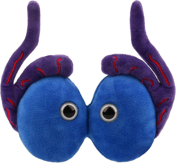 GIANT MICROBES Testicle Plush Toy, Testicular Cancer Awareness Gift, Urology Nursing, Gag Gift
