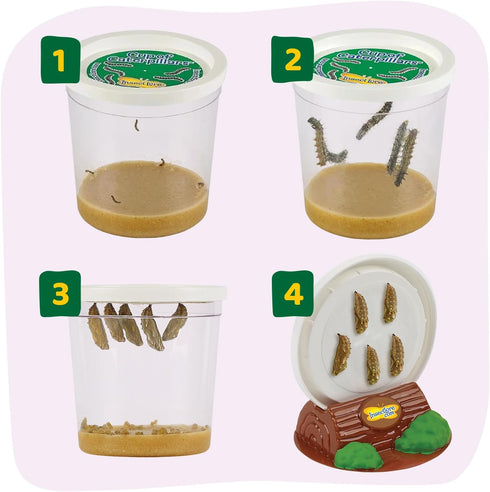 18 Inch 5 Insect Lore Giant Butterfly Garden with Voucher | Habitat | Life Cycle Figurines Included | Voucher to Redeem