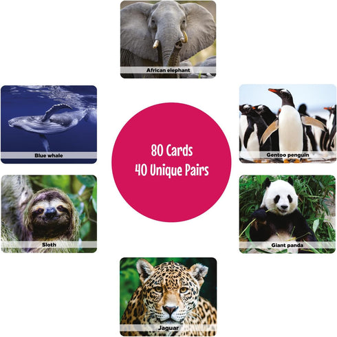 Menique Wild Animals Memory Matching Game, 80 Cards with Real Photos, Educational Booklet Included for Kids & Adults