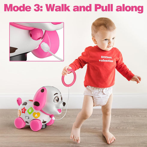 Zardali 6-12 1st 6 7 8 9 10 12-18 1 ABC,123s, Musical Baby Toys Months, Birthday Girl Gifts for One Year Old, Months