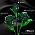 Set 16 523PCS PLAXSOON Flowers Bouquet Building with Lights, Mother's Day Green Roses Botanical Collection Building
