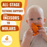 CaaOcho Pure Natural Rubber Teething Gum Massager Baby Toy & Bath Toy - BPA Free Squid Teether for Babies