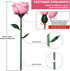 XGSHJ Set 12 Pack Pink Rose Bouquet Building for Girls & Boys - Botanical Collection Gift for Easter Basket Artificial