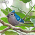 Eugy Blue Jay 3D Puzzle - 26 Piece Eco-Friendly Educational Toy for Kids Ages 6+