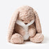 15.7" ZEIO Grumpy Bunny Stuffed Animal, Plush Rabbit Stuffed Animals with Floppy Ears, Cuddly Soft Plush Toys Huggable