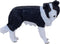 MOJO Border Collie Hand Painted Realistic Toy Figurine