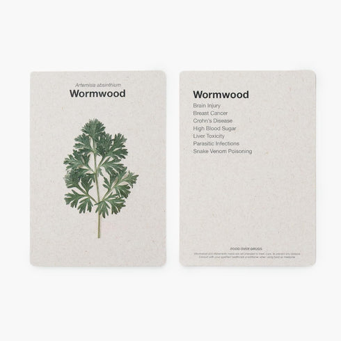 Food Over Drugs: The Card Deck | Educational Herb Deck of 50 Foods and Medicinal Plants for Nature Lovers