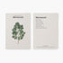 Food Over Drugs: The Card Deck | Educational Herb Deck of 50 Foods and Medicinal Plants for Nature Lovers