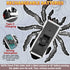 3-5 5-7 8-13, Infowush Wall Climbing Spider, Rechargeable Remote Control Spider Kids Toys, Floor/Wall Crawling Robot