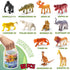 60 Piece Mini Zoo Animal Toy with Gift Box, Realistic Plastic Animal Figures for Sensory Bins, Birthday Gifts