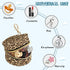 Nesatuwa Cheetah Leopard Print Pacifier Holder Case with Clip Portable Small Travel Pacifier Pouch for Mom Bag Zipper