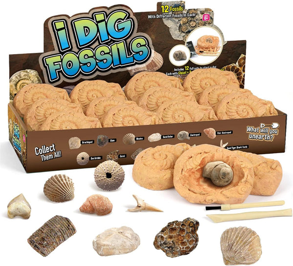 Byncceh Fossil Dig Kit - Educational STEM Science Toys for Kids Ages 6+ - Dig Up 12 Real Fossils & Dinosaur Bones
