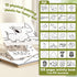 Jar Melo Washable Dot Markers, 6 Colors with 108 PDF & 10 Physical Activity Papers, Non-Toxic Bingo Daubers