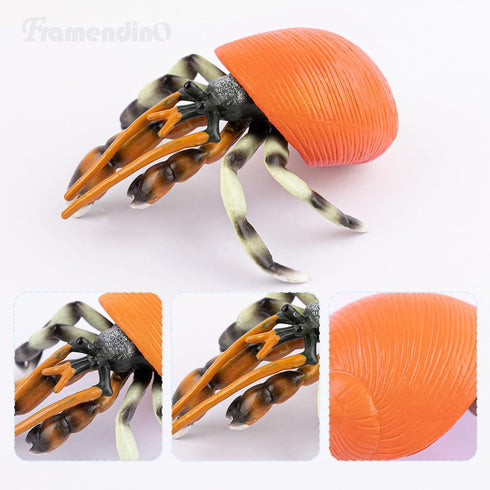 Framendino 4 Pack , Realistic Sea Animals Hermit Crab Model for Home Decorations