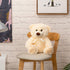 Super Color Teddy Bear Stuffed Animal - Plush Toy for Children, Girlfriend, Family, 14 Inch Beige