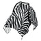 Mazeann White Black Zebra Print Car Seat Cover Baby Breathable Soft Infant Carseat