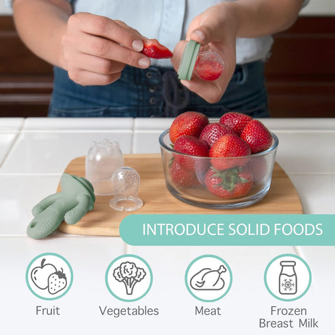 Set Little Twig Baby Fruit Feeder Pacifier & Teether Silicone Baby Food Feeder with Freezer Tray, BPA Free Teething Toy
