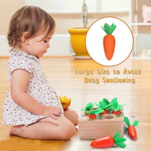 Montessori Toys for 1 Year Old, Carrots Harvest Wooden Baby Toys for 6-12 Months, Educational Shape Sorting