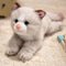 PEACH CAT Cat Stuffed Animal 9.8" Realistic Kitten Plushies Soft Plush Toys